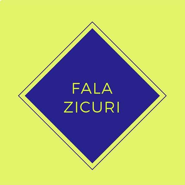 Fala Zicuri