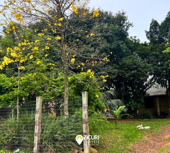 Terreno Rua Ítalo Geraldo Martins Rego